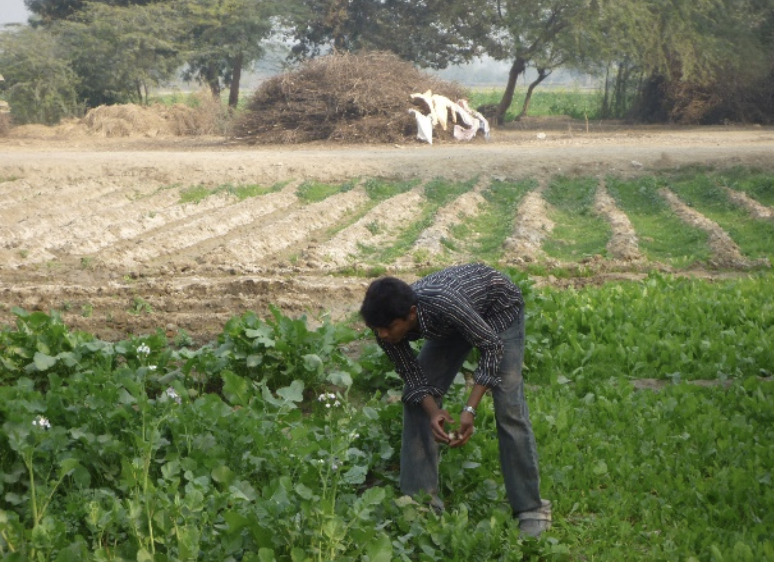 Shah family support update