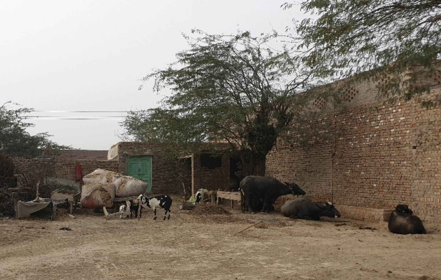Shah family in rural Punjab